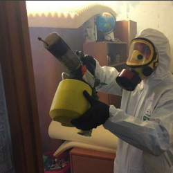 Уничтожение клопов в квартире. Сосновоборск